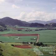 Sugar cane, Atherton Shire, 1966