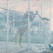 Lion at Mount St John Zoo, 1962