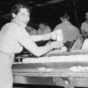 Mrs E Buikstra checks slices of pineapple for faults, Northgate cannery, 1959