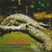 Crocodile sunbaking on the Daintree River