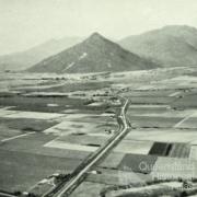 Aerial view of Gordonvale and surrounding cane farms, 1954