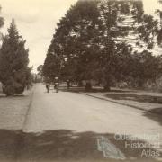 Women cycling through the Botanic Gardens, Brisbane, 1896