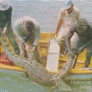 Crocodile hunting, North Queensland