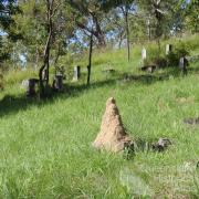 Thursday Island Cemetery, 2009