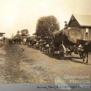 Bullock team hauling timber at Lowood, c1890s