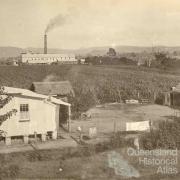 Marian Sugar Mill, Mackay District, c1910