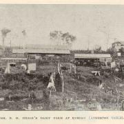 Mr Heale's dairy farm at Kureen (Atherton Tablelands), 1918