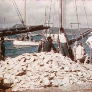 Pearl shell on the wharf, Thursday Island, 1958