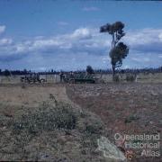 Land clearing, Kingaroy Shire, 1955