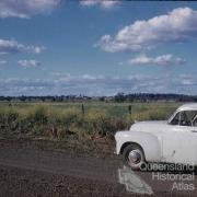 Jimbour House, 1958