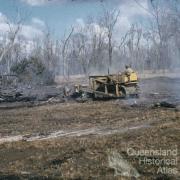 Land clearing, Kingaroy Shire, 1955