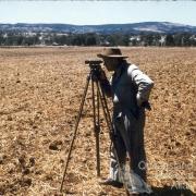 Surveying contour bank, Murgon, 1958