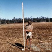 Surveying contour bank, Murgon, 1958