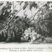 Scenes after the Townsville cyclone, 1940