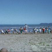 Sunday School picnic tug of war on the Strand, Townsville, 1962