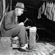 Breaking macadamia nuts with a hammer, c1957