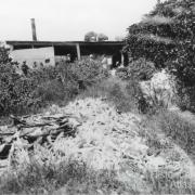 Holidaymakers at the abandoned turtle cannery on Nor’West Island, c1910