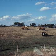 Laying telecommunication cable, Darling Downs, 1978