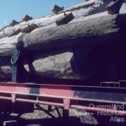 Dismantled telephone poles to be burnt, 1979