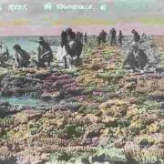 Tourists gathering shell and coral collections at Lodestone Reef, c1920