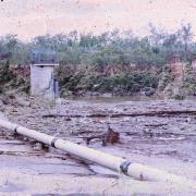 Damage caused by Cyclone Ada, Collinsville, 1970