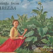 Mareeba, the tobacco capital of Australia, c1961