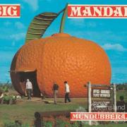 Big Mandarin, Mundubbera, c1984