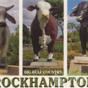 Big bull country, Rockhampton, c1988