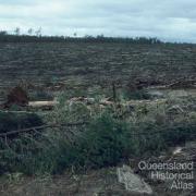 Clear-felled woodland, Injune district, 1986