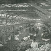 Tinnenburra Woolshed, 1918