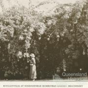 Nindooinbah Homestead garden, Beaudesert, 1935