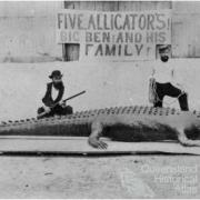 Two hunters posing with a dead crocodile, North Queensland, c1872 