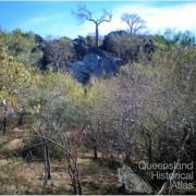 Eclipse Tower, Mungana