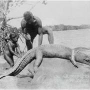 Crocodile skinning, North Queensland, 1946