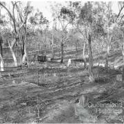 The small cemetery at Kingsborough