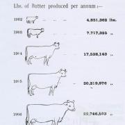 Progress of dairying, 1908