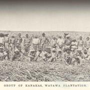 Group of South Sea Islanders, Watawa Plantation, Bingera, 1897