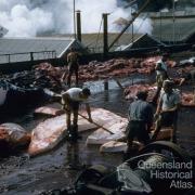 Flensing deck, Tangalooma whaling station, 1960
