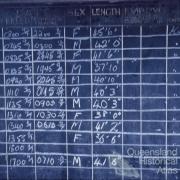 The data board, Tangalooma whaling station, 1960