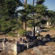 Toowong Cemetery, 1991