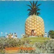 The Big Pineapple, Woombye