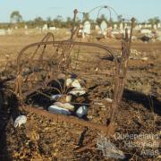 Graves, Normanton Cemetery, 1986