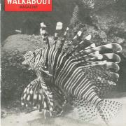 Walkabout cover, December 1950