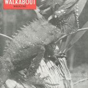 Walkabout cover, September 1953