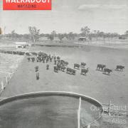 Walkabout cover, June 1955