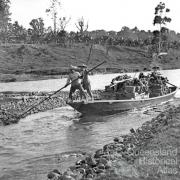 Chinese transporting bananas by punt, Innisfail, c1885