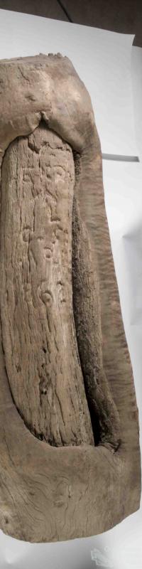 Landsborough’s tree, 1862