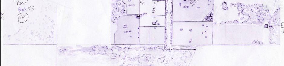Map of the Macqueen farm, c1951