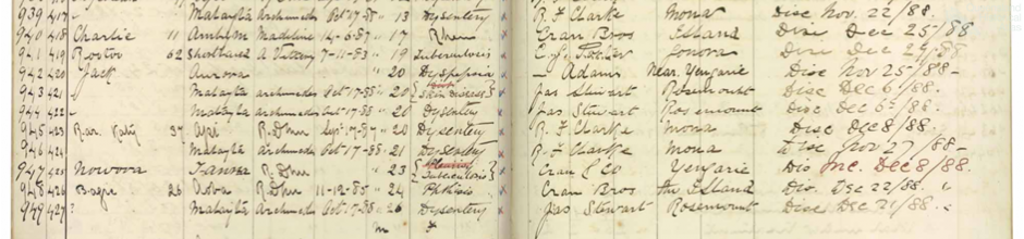 South Sea Islander patients at Maryborough hospital, November 1888