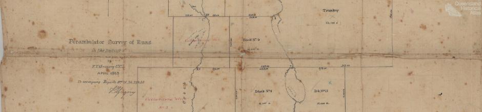 Early Tinnenburra blocks, 1863